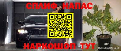 гашик Нягань