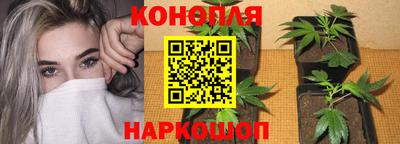 jwh Обнинск